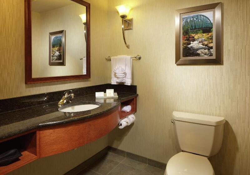 Номер Deluxe, Dello Ft Lauderdale Airport, Tapestry Collection By Hilton