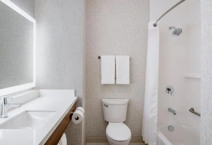 スタンダードルーム, Holiday Inn Express & Suites Kelowna   East, An Ihg