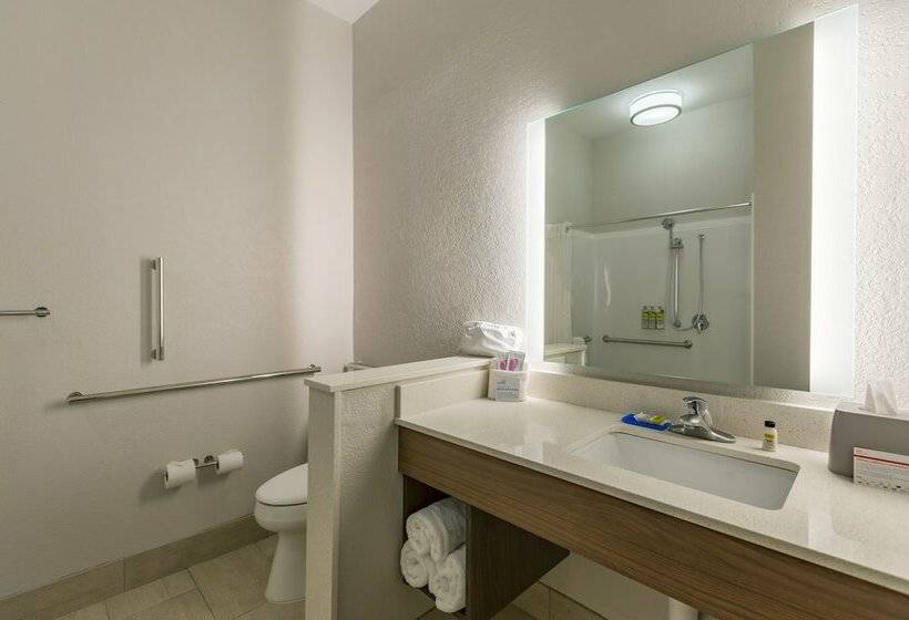 스위트, Holiday Inn Express & Suites   San Marcos South, An Ihg