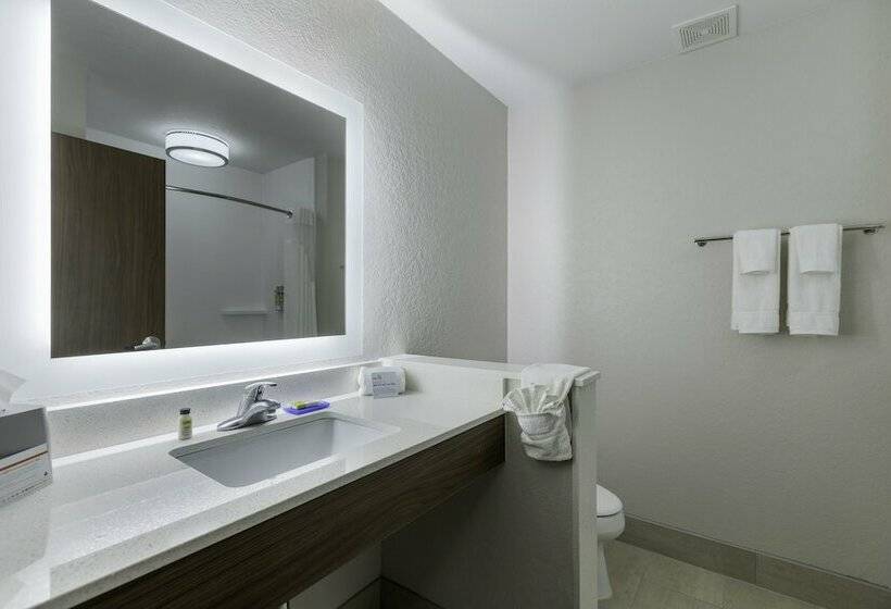 스위트, Holiday Inn Express & Suites   San Marcos South, An Ihg