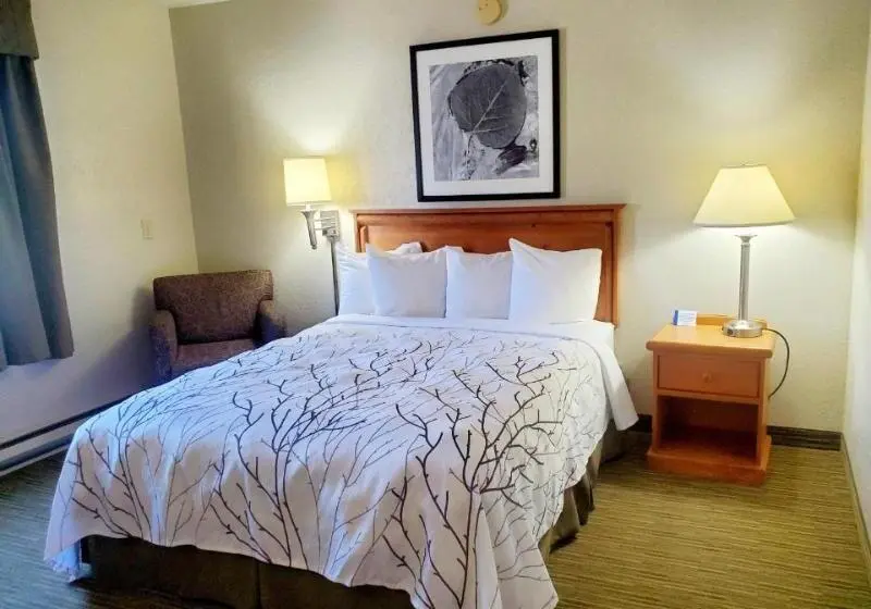 آپارتمان دوبلکس 1 خوابه, Overland Suites Catedral