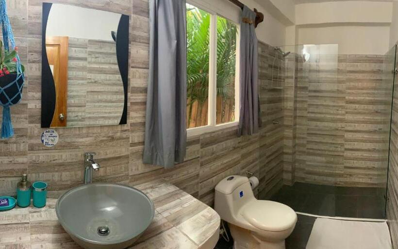 غرفة ديلوكس, Primaluna Palomino