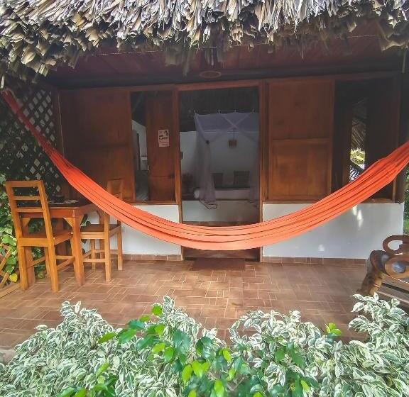 بنجلو قياسى, Primaluna Palomino