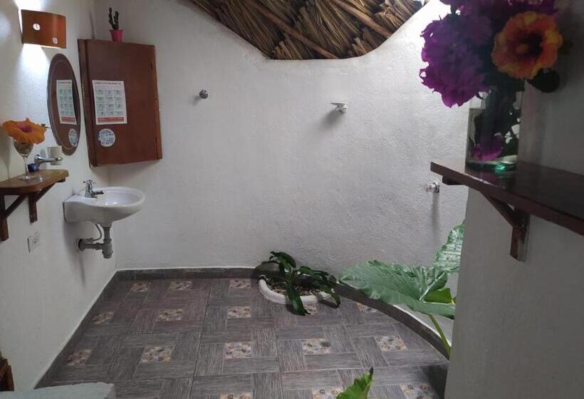 بنجلو قياسى, Primaluna Palomino