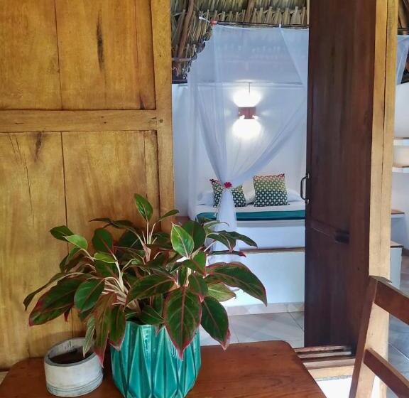 بنجلو قياسى, Primaluna Palomino