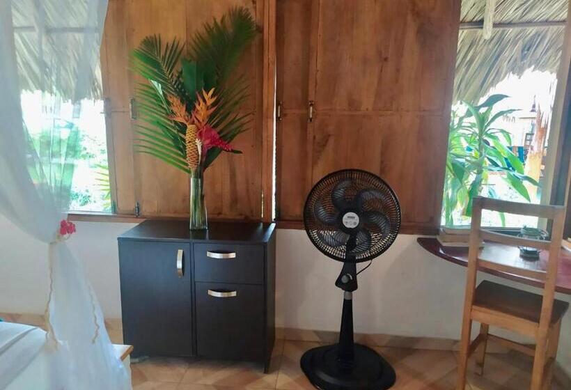 بنجلو قياسى, Primaluna Palomino