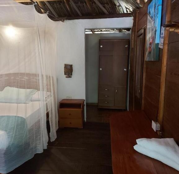 غرفة قياسية, Primaluna Palomino