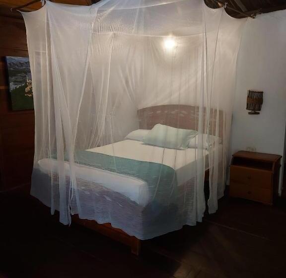 غرفة قياسية, Primaluna Palomino