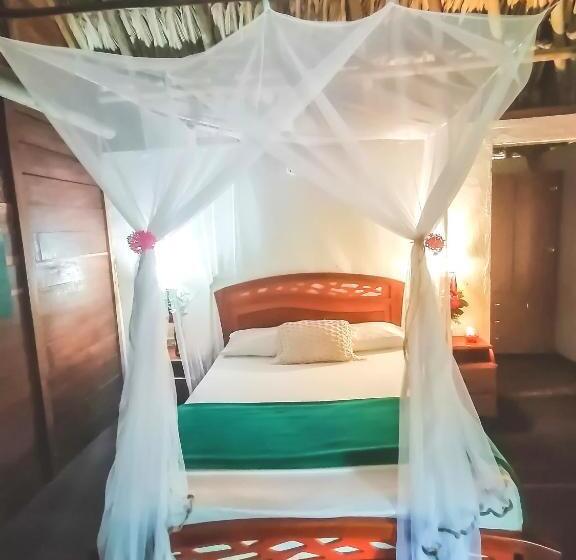 غرفة قياسية, Primaluna Palomino