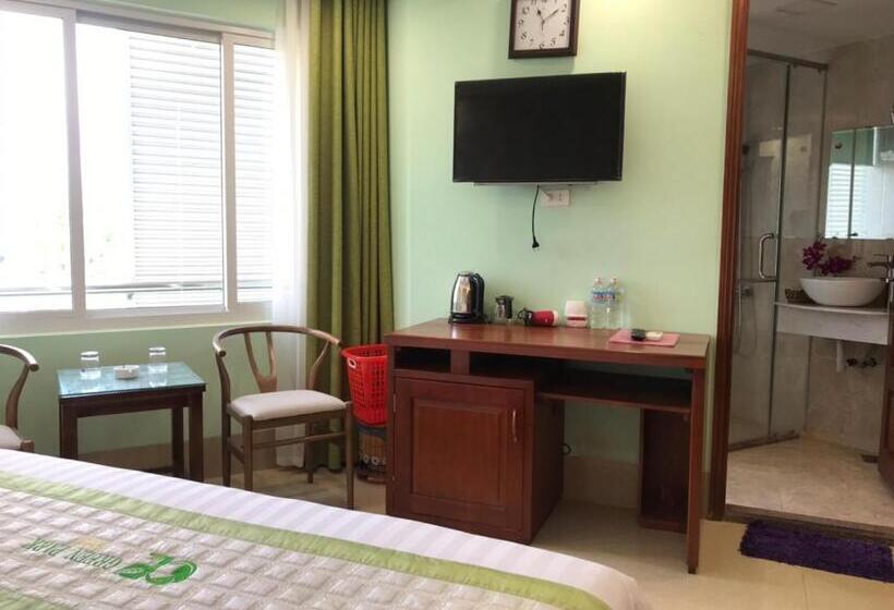 اتاق استاندارد با تخت بزرگ, Green Park Hotel Quy Nhon