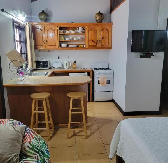 ویلای 1 خوابه, Samfi Gardens