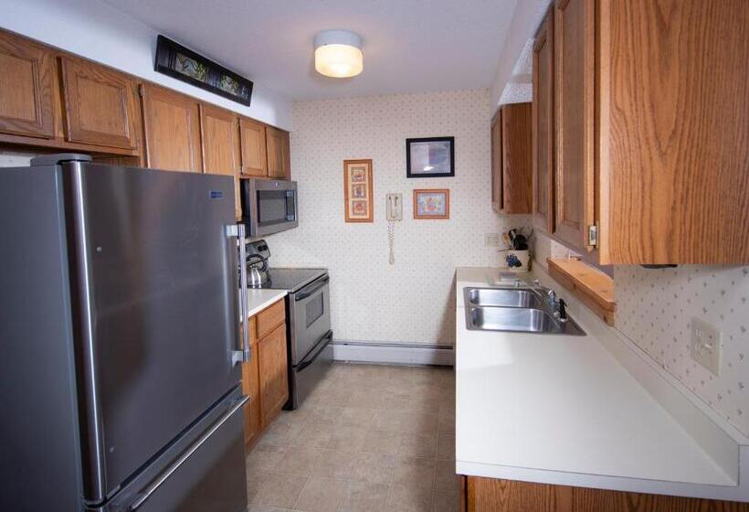 آپارتمان 1 خوابه, Okemo Mountain Lodging