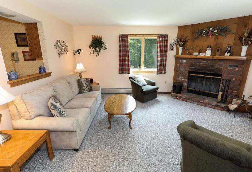 آپارتمان 1 خوابه, Okemo Mountain Lodging