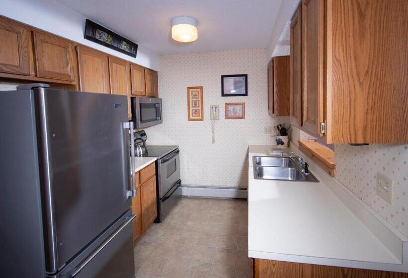 1 Yatak Odalı Daire, Okemo Mountain Lodging
