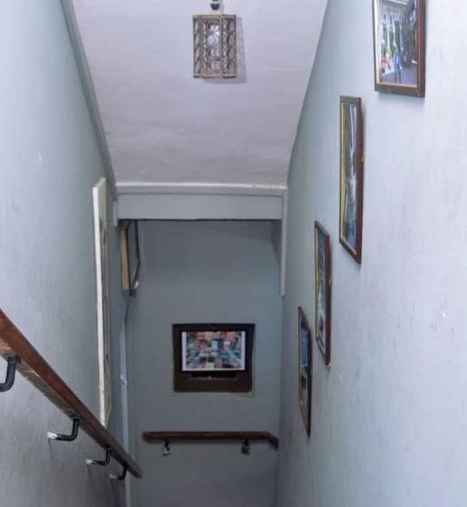 豪华三人间, Rafiki Apartment