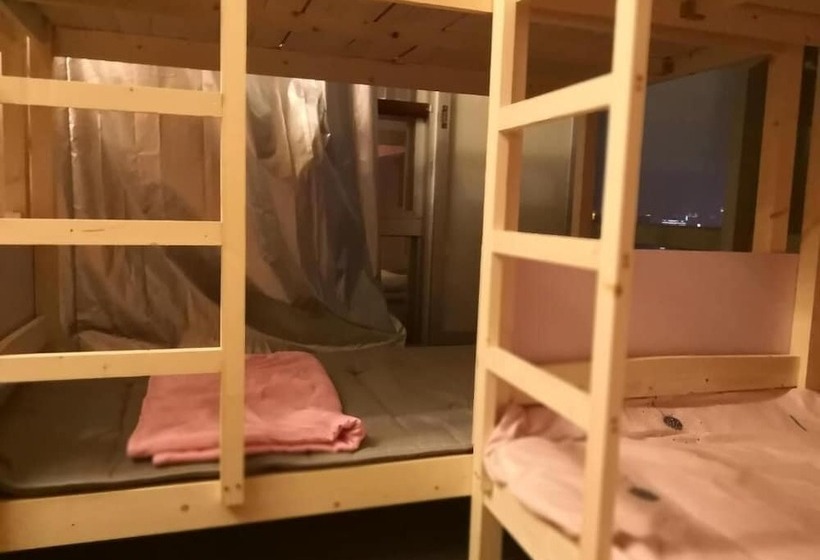 共同バス付シェアルーム, Best Cat Hostel