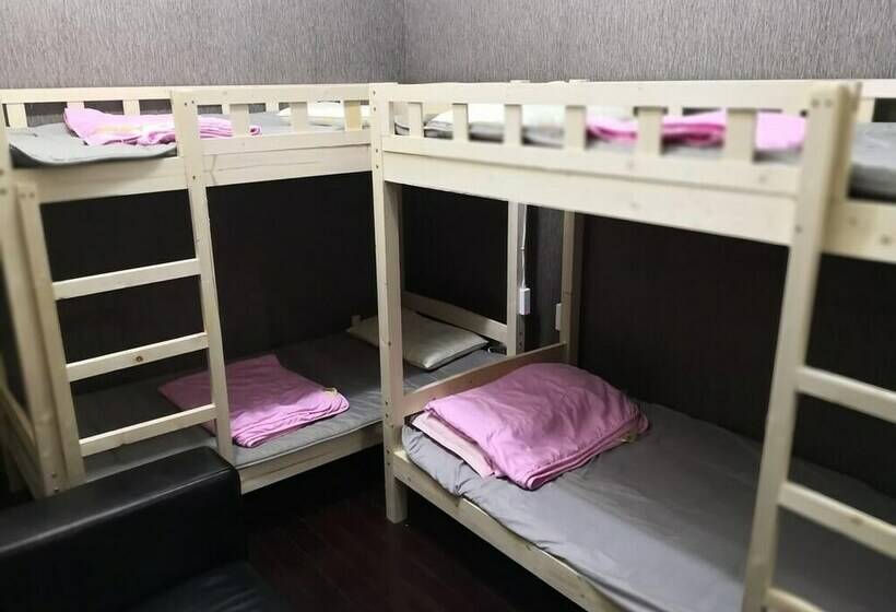 Bed in Shared Room with Shared Bathroom, Best Cat Hostel