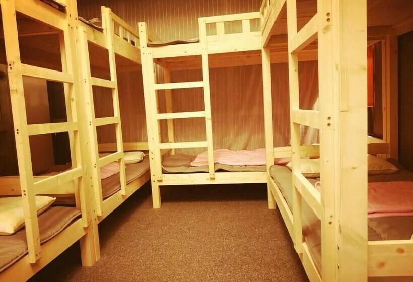 共同バス付シェアルーム, Best Cat Hostel