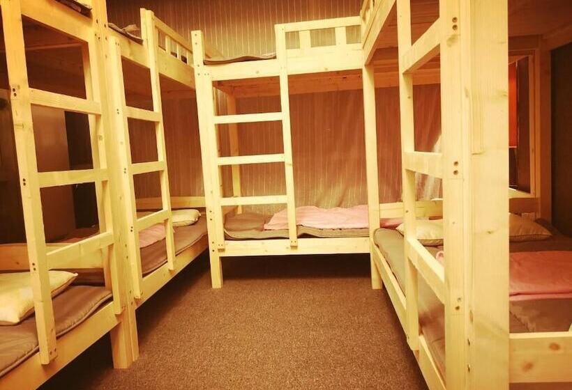 Bed in Shared Room with Shared Bathroom, Best Cat Hostel