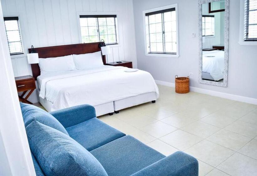 اتاق استاندارد با تخت بزرگ, Jamgolia Place