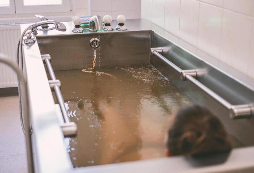 غرفة قياسية, Grandhotel Nabokov