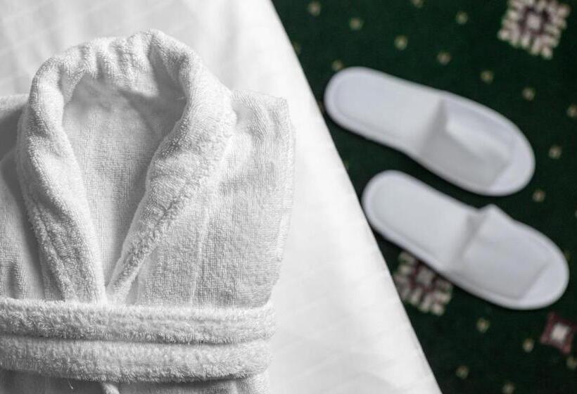 コンフォートシングルルーム, Grandhotel Nabokov