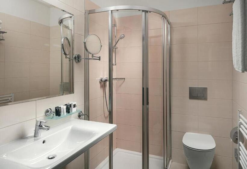 غرفة كومفورت فردية, Grandhotel Nabokov