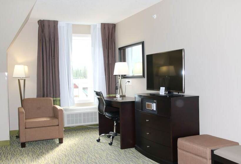 اتاق لوکس, Super 8 By Wyndham Canmore