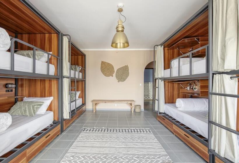 공동 객실, Selina Peniche