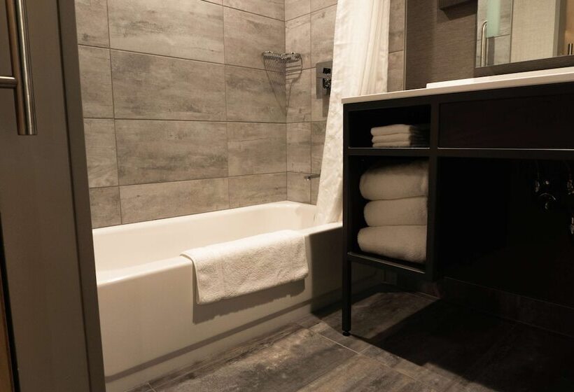 ２ダブルベッドのスタンダードルーム, Hilton Garden Inn Fredericton