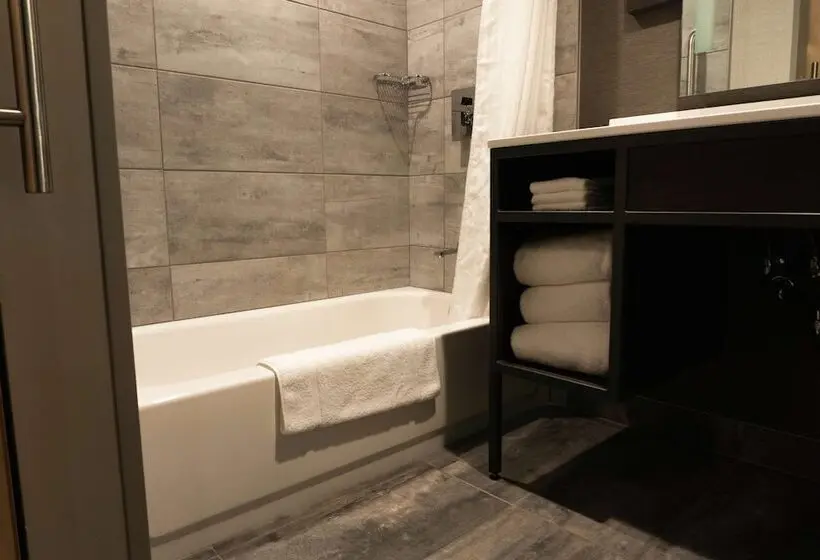 اتاق استاندارد با 2 تخت دوبل, Hilton Garden Inn Fredericton