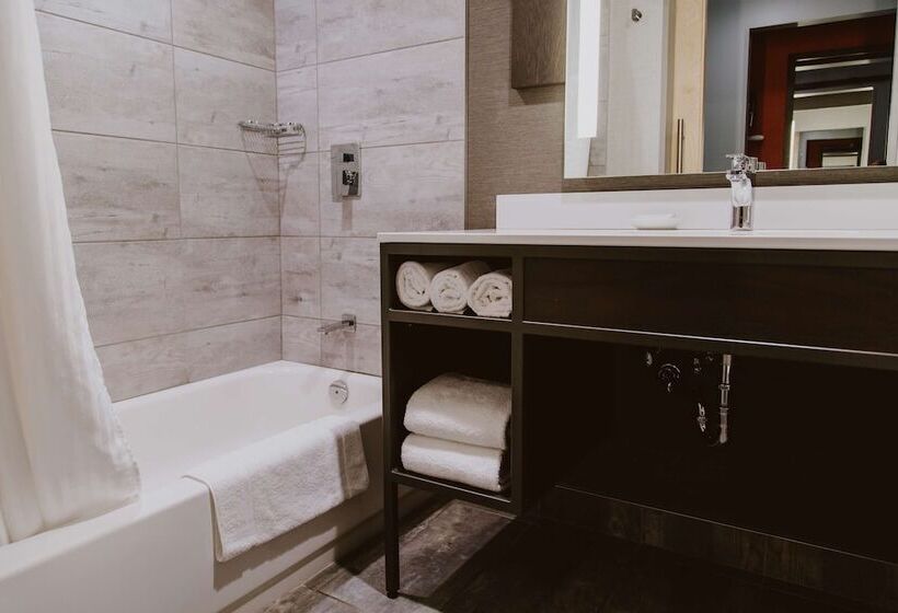 ２ダブルベッドのスタンダードルーム, Hilton Garden Inn Fredericton