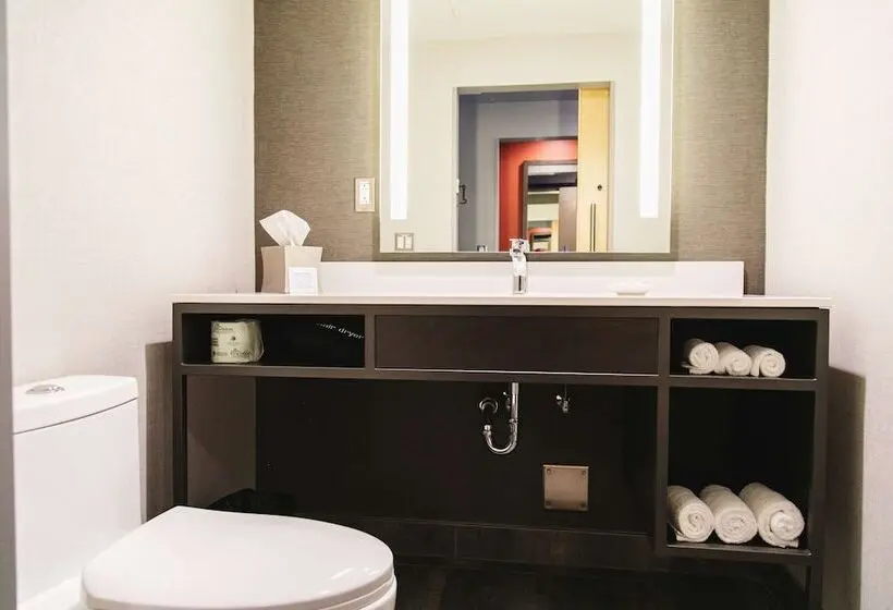 سوئیت با تخت بزرگ, Hilton Garden Inn Fredericton