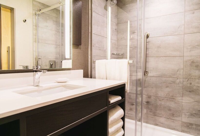 キングサイズベッドのスイートルーム, Hilton Garden Inn Fredericton