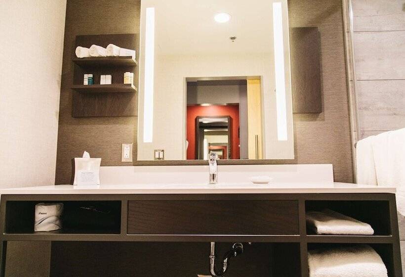 キングサイズベッドのスイートルーム, Hilton Garden Inn Fredericton