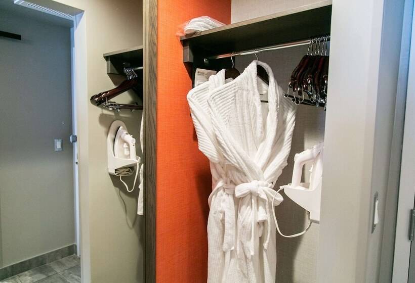 キングサイズベッドのスイートルーム, Hilton Garden Inn Fredericton