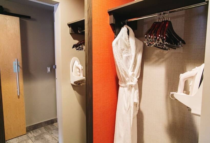 バルコニー付きデラックスルーム, Hilton Garden Inn Fredericton