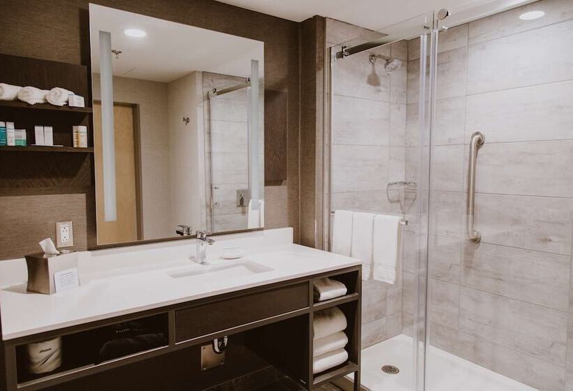 ２ダブルベッドのスタンダードルーム, Hilton Garden Inn Fredericton