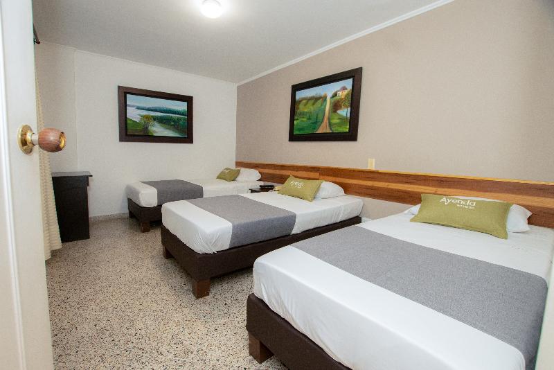 스탠다드 트리플 룸, Oasis