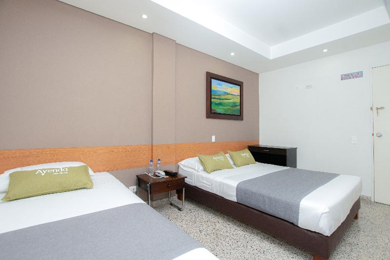 스탠다드 트리플 룸, Oasis