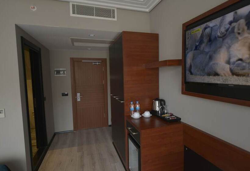 اتاق لوکس یک تخته, Grand Vaves