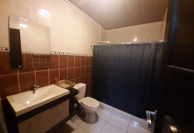 חדר משפחתי, B&d Lodgings