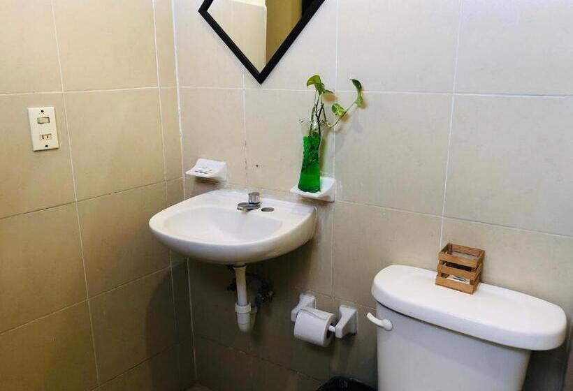 اتاق استاندارد, Casa Vidal