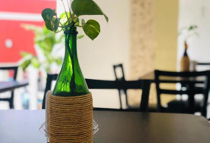 اتاق استاندارد, Casa Vidal