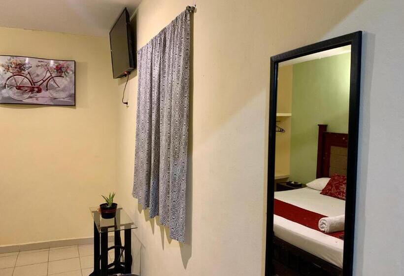 اتاق سوپریور, Casa Vidal