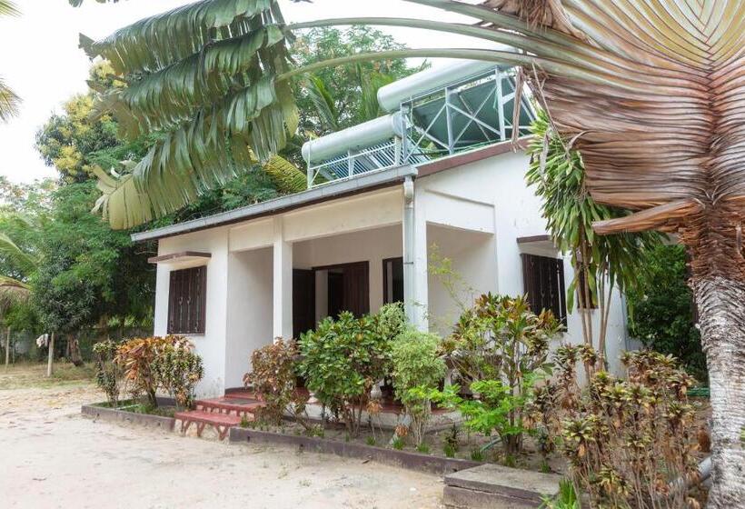 بنگله خانوادگی, Holidays