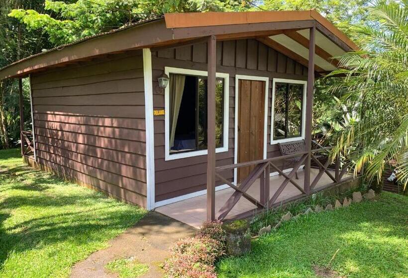 Habitació Deluxe, Hospedaje La Naciente