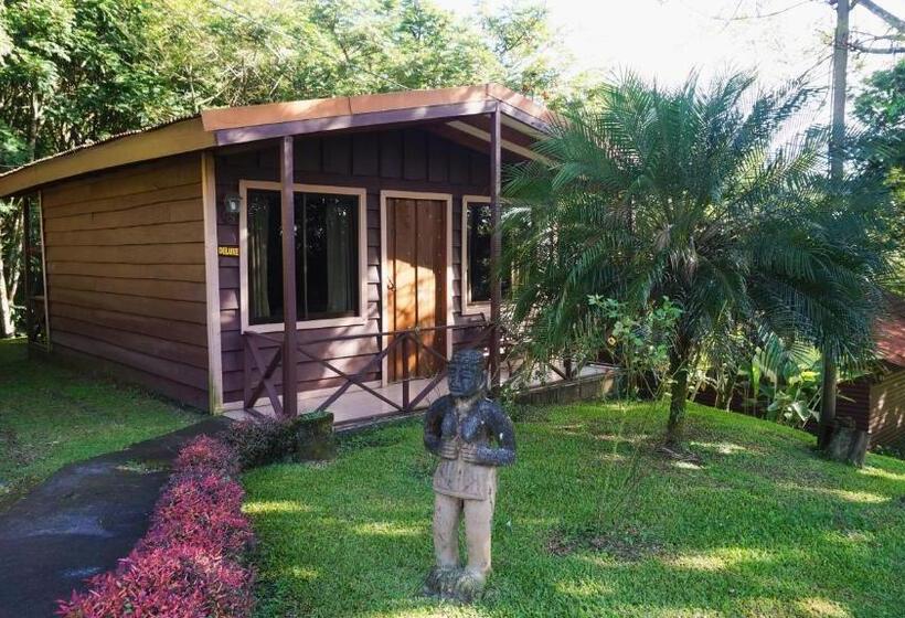 Habitació Deluxe, Hospedaje La Naciente