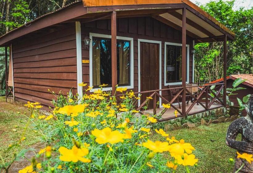 Habitació Deluxe, Hospedaje La Naciente