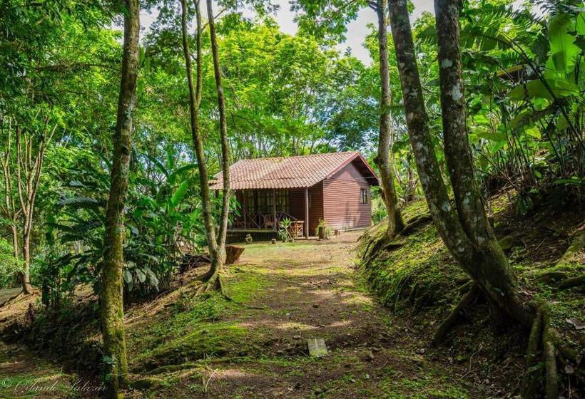 Habitació Estàndard amb Balconada, Hospedaje La Naciente